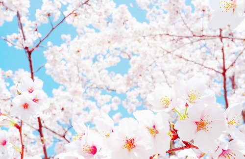 微信朋友圈女生伤感图片说说语录