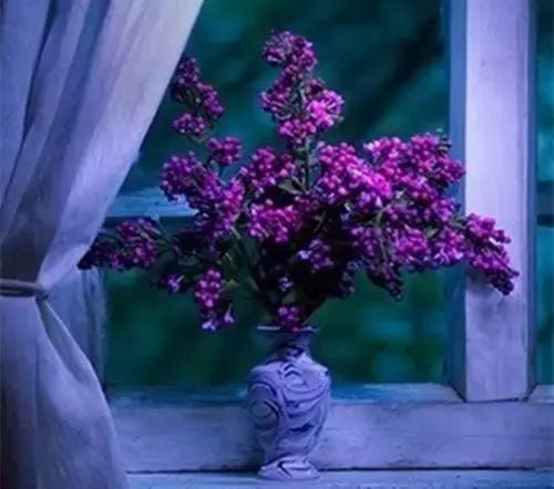 时光清浅,岁月静好 时光清浅,岁月静好