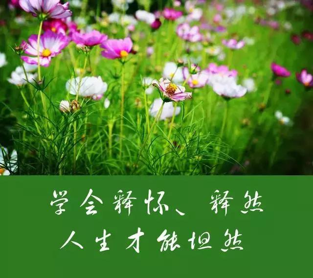 做人，心宽一寸，路宽一丈