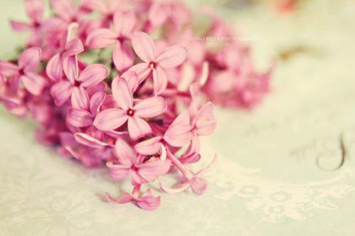 一个人孤独寂寞的心情语录带图片