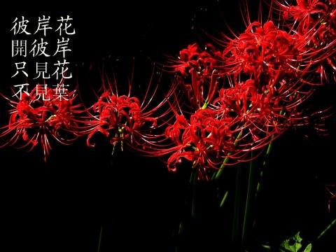 做人也要有个度