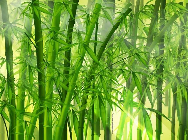 鲁迅：猛兽总是独行，牛羊才是成群结队