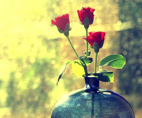 适合发说说的经典治愈系语录