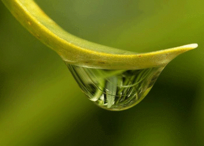 人生路，越计较，越苦楚，看完心放宽了