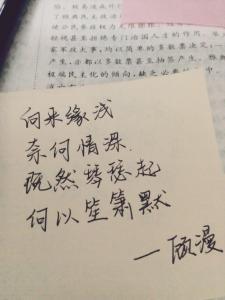 向来缘浅，奈何情深