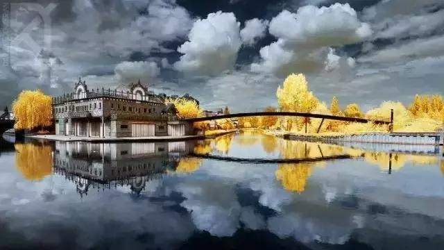 有一种美丽 叫淡到极致 有一种美丽 叫淡到极致