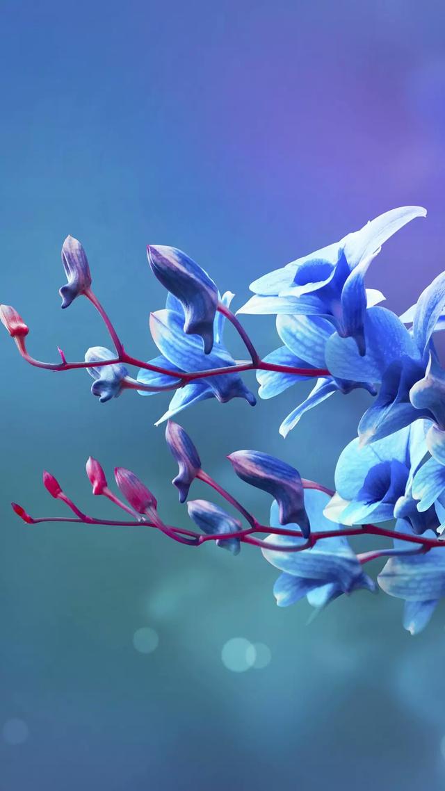 人生感悟：岁月安好，静默如初
