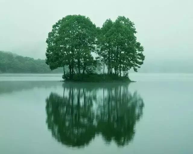 我很傻，但我很真