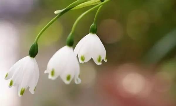 身体健康,比什么都强 身体健康,比什么都强