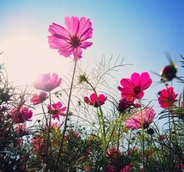 我允许任何事情的发生