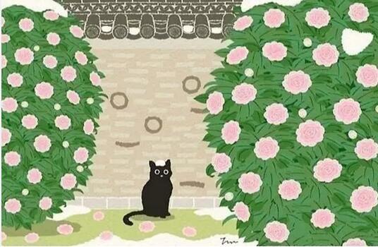 人生所有的得失，都只是过眼云烟