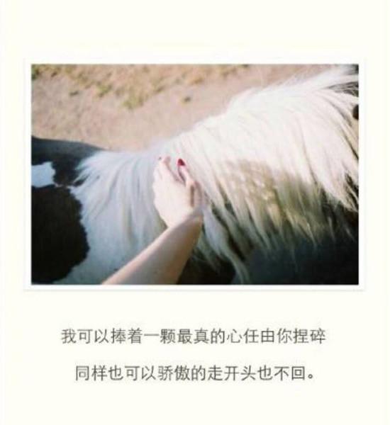人心，很脆弱，又很坚强