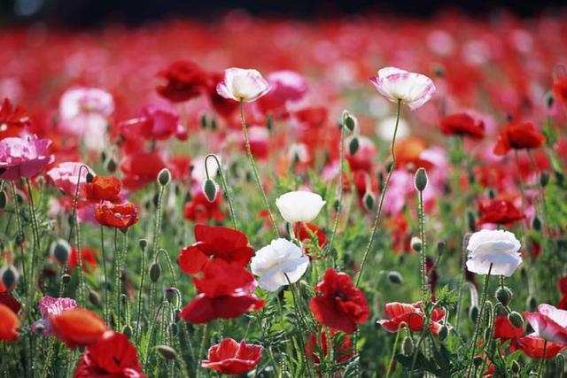 不想跌倒的最好办法