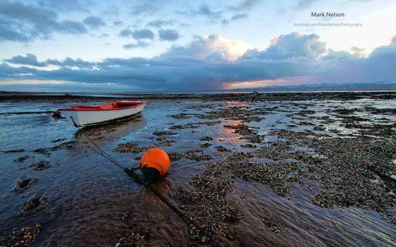 那些说到心坎的人生感悟经典语录,字字千金,值得回味 那些说到心坎的人生感悟经典语录,字字千金,值得回味