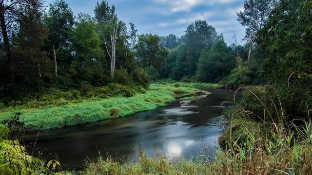 让人心静的佛语禅心,人生因静而优雅 让人心静的佛语禅心,人生因静而优雅