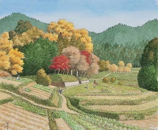 中年的你，人生的开始