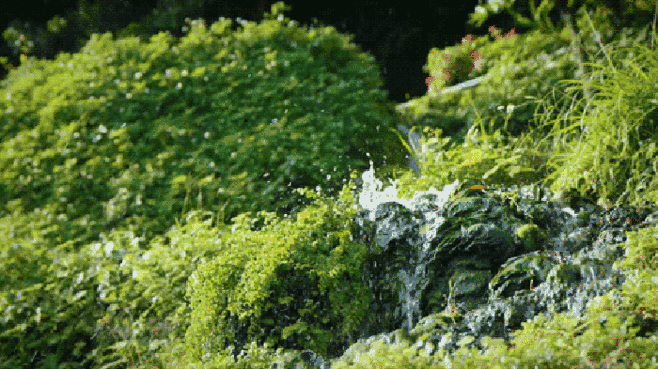 一似美人春睡起，回眸一眼百媚生