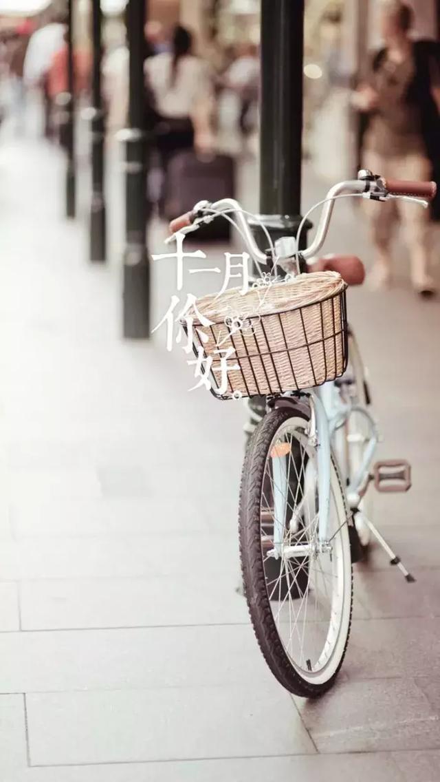 你好，十一月