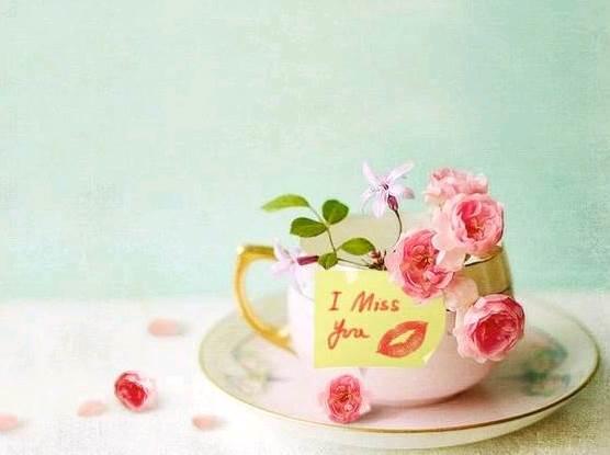 qq空间感悟人生的图片说说短语 qq空间感悟人生的图片说说短语