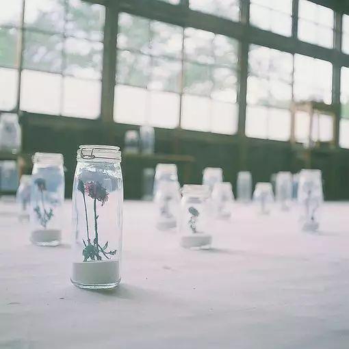 再回首,时光不老,我们不散 再回首,时光不老,我们不散