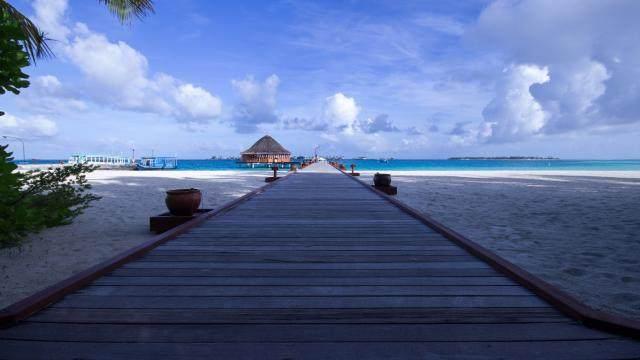 十句最经典的人生感悟正能量语录 十句最经典的人生感悟正能量语录