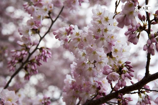 关于人的经典语录