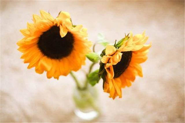 2018最精辟的人生感悟哲理语录