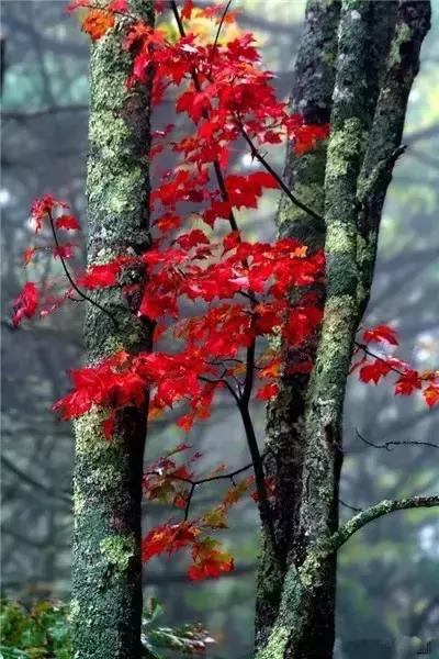 世间万物都是相互的