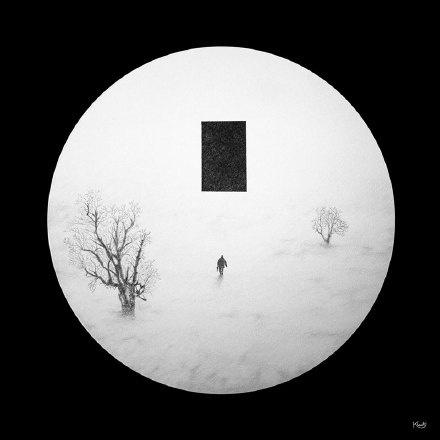 网络我们都是孤独的刺猬