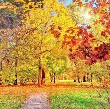 信任就像一张纸，皱了，即使抚平，也恢复不了原样了