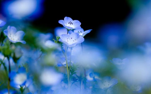 心如果乱了，一切就都乱了（经典）