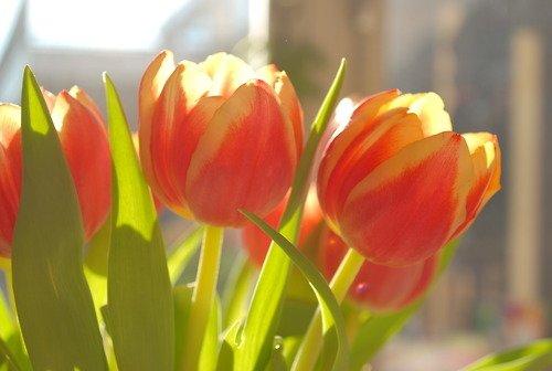 朋友圈充满正能量的情感语录