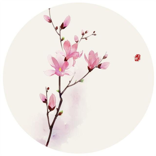 人生怎么活，宽一点，和一点