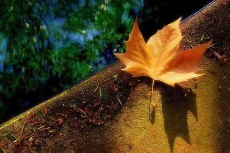 2017qq经典的一句话语录