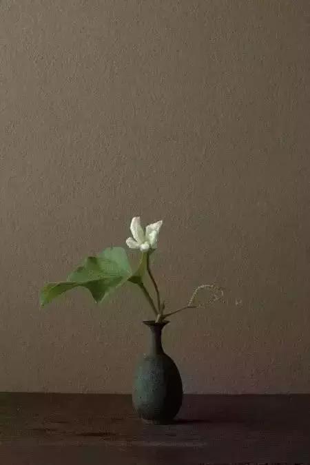 做人，不戴面具；交往，不玩心眼