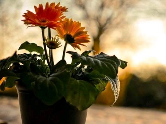 qq空间感悟人生的图片说说短语 qq空间感悟人生的图片说说短语