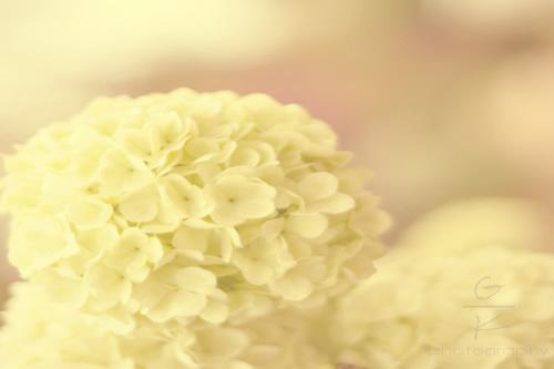 适合做签名的一句话经典语录