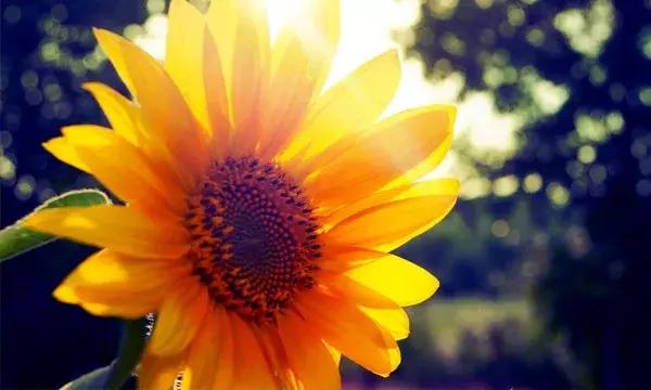 这段话,说进多少人心里 这段话,说进多少人心里