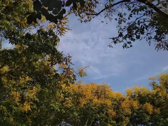 美不在风景中，而在看风景的心里