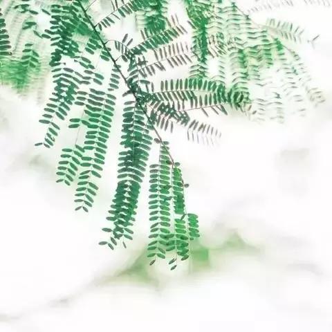 活着就是幸福，挣钱只是铺路