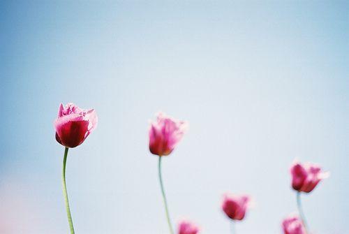 一些充满正能量的经典语录