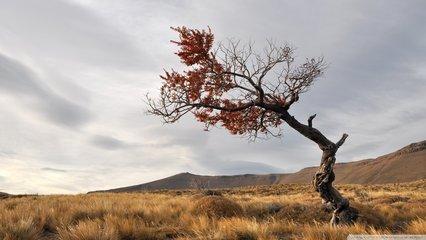 人生，注定是一场修行；我们，一路朝圣而去