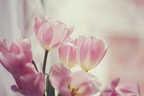 唯美浪漫语录：我爱这哭不出来的浪漫