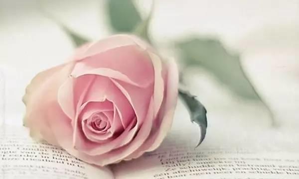 如果生命只剩下一天 如果生命只剩下一天