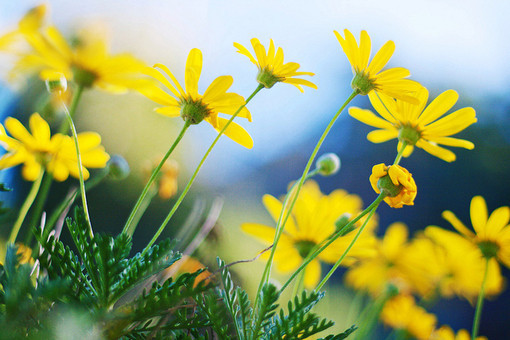 微信感悟人生的经典短语,感触很深 微信感悟人生的经典短语,感触很深