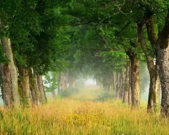 人在有钱时,人在没钱时!(句句见血) 人在有钱时,人在没钱时!(句句见血)
