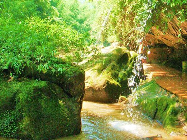 生命的每一天,自在的过 生命的每一天,自在的过