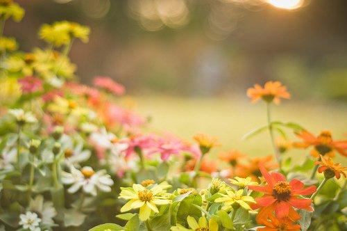 朋友圈充满正能量的情感语录