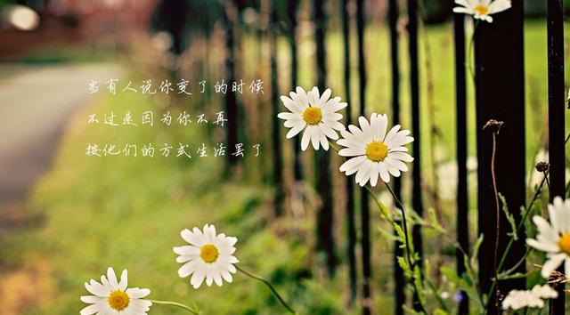 美到窒息的经典心情语录