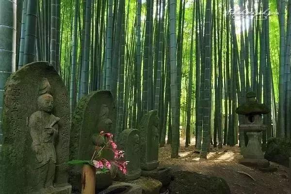 大悟之人，知世故而不世故